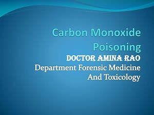 PPT - Carbon Monoxide Poisoning PowerPoint Presentation, free download - ID:1897971