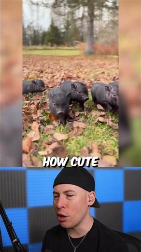 fluffiest puppy 😍😍