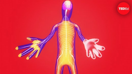 The fascinating science of phantom limbs