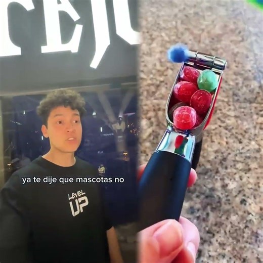 Quiero adoptar un ROBOT gatito 😱#comedy #funny #viral #shorts