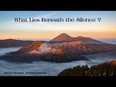 Ash and Shadows: Fire Beneath the Silence