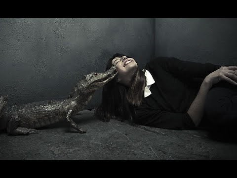 Interview With Pixies Bassist Paz Lenchantin - Bass Musician Magazine