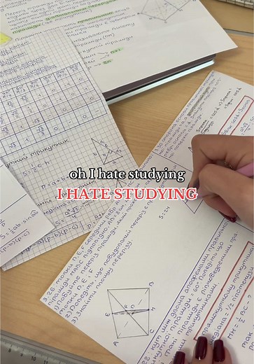Transform Your Study Experience with Knowunity App
