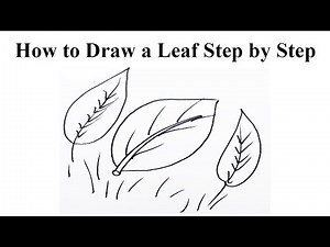 How to Draw a Leaf Step by Step | Easy Leaf Drawing for Beginners