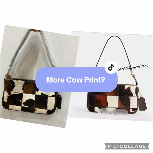 Thoughts down below #coachupdate #bagtok #cowprint #coachtok | coach bag