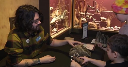 Milwaukee Public Museum offers hands-on learning for families during break