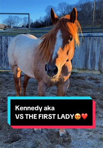 Kennedy aka VS THE FIRST LADY😍❤️ | katie van slyke