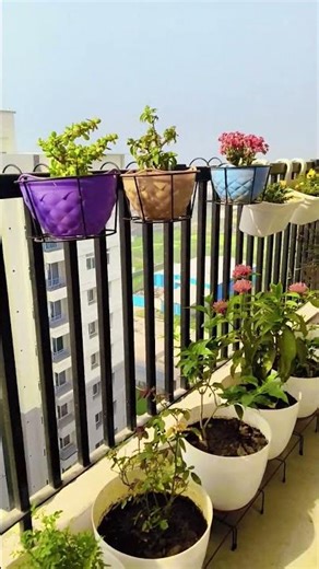 Sanskar Insan ko bada banate hai #pravachan #gautambuddha #plants #balconygarden