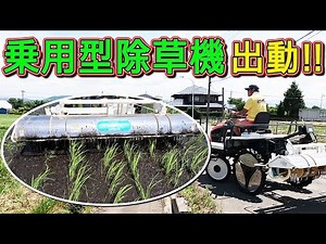 水田雑草をどう抑えるか！？ 乗用型除草機 クボタ 多目的田植え機