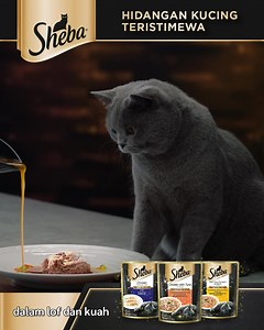 😽Pek Baharu Sheba dengan tekstur yang lebih lembut dan berjus. Resipi ciptaan Chef yang diperbuat dengan ramuan berkualiti tinggi. Hidangkan Si Manja anda dengan 3 resipi Sheba baharu: ✨ Lof Ayam Premium - lembut dan mudah dikunyah. ✨ Ayam dan Tuna dalam Kuah - lazat dan berjus. ✨ Tuna bersama Labu & Lobak dalam Kuah - lebih serat dan lebih kuah. Sajikan Si Manja anda hidangan teristimewa Sheba di: 🛒 Lazada Official Page: https://bit.ly/2NmL022 🛒 Shopee Official Page: https://bit.ly/3vsbKiA #