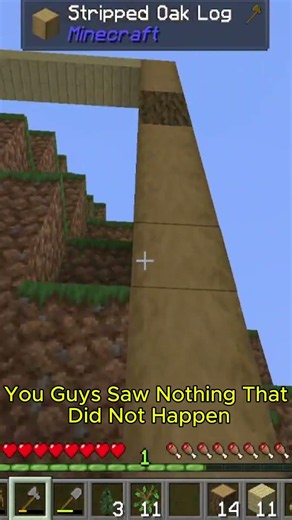 I Tried To Be Fancy... #minecraft #funny #gaming #minecraftsurvival #minecraftsmp