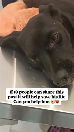 please don't let me down help 🙏🙏 you support helps me to survive