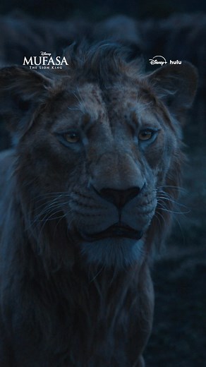 5.3K views · 17 reactions | A perfect combination. Try the Disney+, Hulu Bundle Basic for only $1 more per month. | Hulu | Facebook