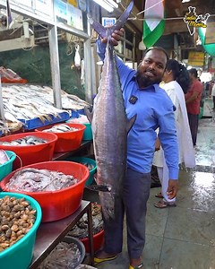 820K views · 3.2K reactions | Biggest Sea FIsh Market In Delhi | India Eat Mania | Facebook