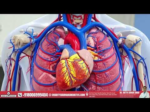 ❤️ Advanced Robotic & Minimally Invasive Heart Surgery