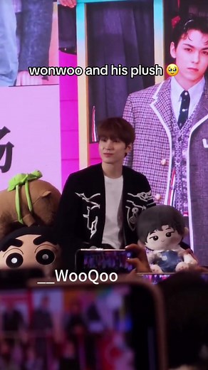 Seventeen Fansign in Beijing: Wonwoo Plush Event