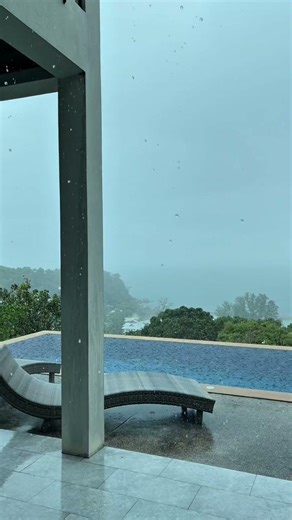 How trees affect rain🌳🌧