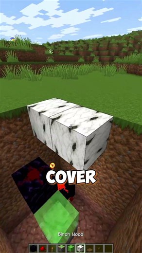 ARMOR SWAPPER IN MINECRAFT 💀 #shorts