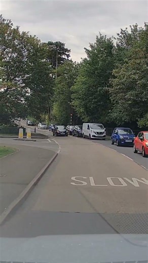Illegal Overtake at a Crossing! 🛑 Is this queue jumping acceptable? #USteer #RoadSafety