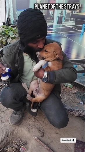 Watch this adorable duo share a meal! ❤️ #feedshorts #pets #happiness #humanity #cat #shorts #fyp