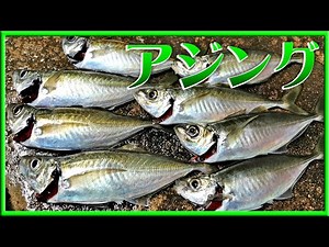 アジング！ アジ！ Ｆシステム（フロートリグ）で狙う！ 【 アジング アジ 和歌山 釣り 】