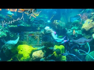 Best Free Attraction in Las Vegas || Mermaid Show || Stingray Feeding || Silverton Aquarium