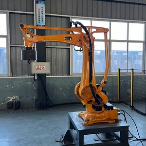 [Hot Item] Automatic Robot Arm Palletizing with Gripper for Industry Multi Lines