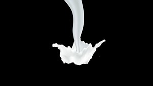 Download Milk fall down or splash dripping graphic animation on transparent background, alpha channel 4k footage for free