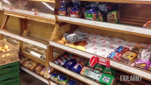 Best Work Fails Compilation | You Had One Job! by FailArmy