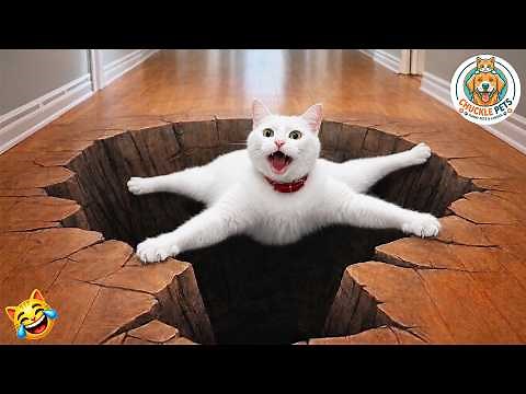 Try Not To Laugh 🤣 Best Funny Cats and Dogs Videos 2026 😺🐶 #47