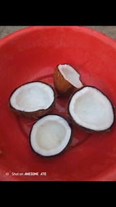 Dona das panelas passando por aqui na sua tela, com carril de muhuguelo de peixe com arroz branco #angola #mocambique @destacar | Nádia Cakés