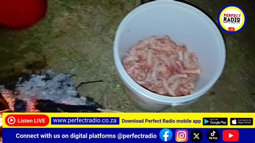 LIVE UPDATE 06 | The time is 20h20. Relela community are still on the road and organized a team of women to cook for the community members. They are still standing firm on their protest to demand for the immediate removal of ward councillor of ward 08 Greater Tzaneen Municipality. The delegates from the municipality were chased from addressing the community. The community says the want the Mayor himself to address them. Despite of the public order police shooting and injuring them, they are stil