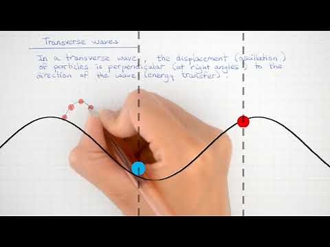 How are transverse waves different from longitudinal waves? | A Level Physics