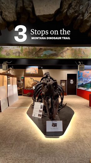 654 reactions · 17 comments | Montana: dinosaur capital of the world since 1854. | Visit Montana | Facebook