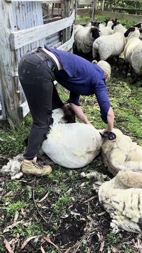 Meet the Xcell 2-Speed: powerful, cordless & built for professionals!