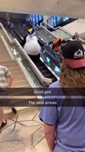 Miz on Instagram: "Low hanging pyrocynical joke • • • • • #furry #furryart #furryfandom #furrymeme #furries #furrymemes #furrycommunity #furryfriends #furrys #fyp #fypage #meme #memes"