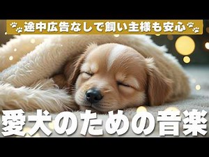 犬が落ち着く音楽 (12時間広告なし) 🐶 犬のための睡眠音楽 | 癒しピアノBGM / vol.1032