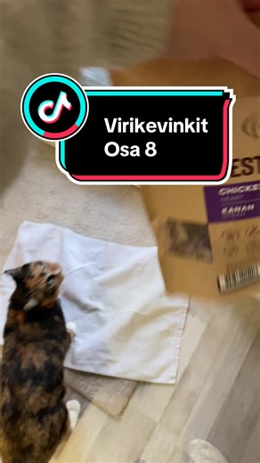 Virikevinkit osa 8 ❤️ Tällä kertaa virikevinkkinä pyyherulla/pyyhepiilo ❤️ #virikevinkitkissoille #virikkeetkissalle #kissanaktivointi #virikkeetkissalle