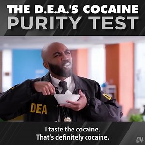 382K views · 2.8K reactions | DMT's still legal though, right? | CollegeHumor | Facebook