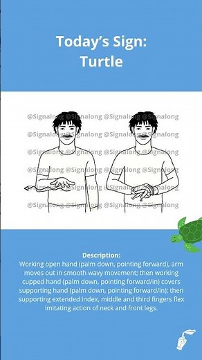 Today's sign: Turtle