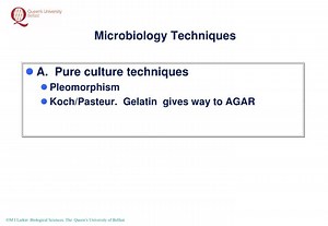 Microbiology Techniques - SlideServe