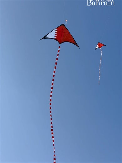 Experience the Vibrant Kite Festival at Al Fateh Beach