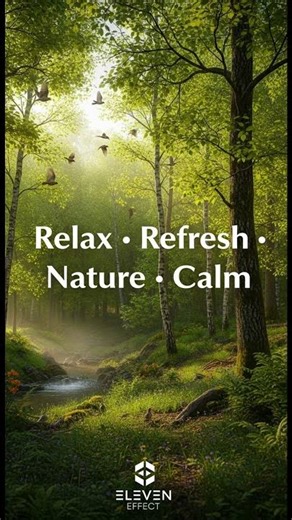 Spring Forest Nature Ambience – Relaxing & Revitalizing Background Sound