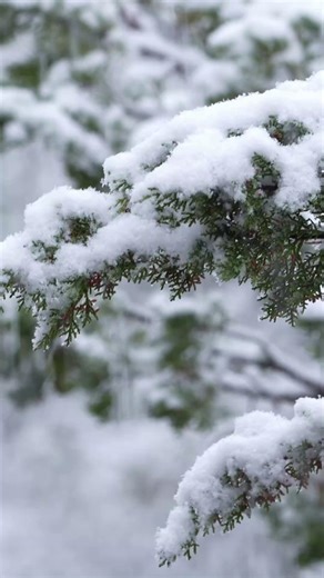 Scotland set for five days of snow with one area to see the most every day 🌨 | Daily Record