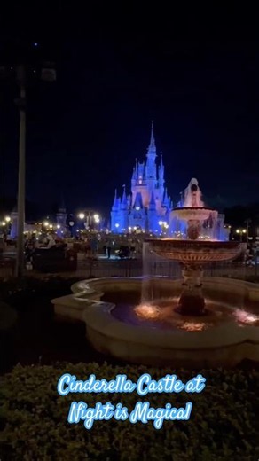 #cinderellacastle #cinderella #waltdisneyworld #disneyworld #disney #disneyparks #magickingdom #wdw