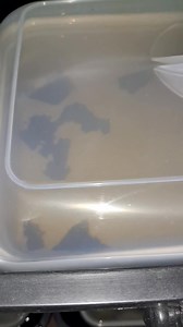 115K views · 2.4K reactions | Betta Breeding at mga reason kung bakit ba minsan nalulusawan tayo ng mga betta fry | Lex Betta | Facebook