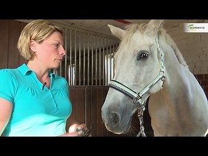 Gut gefüttert: Derby Senior Fit für Senioren.