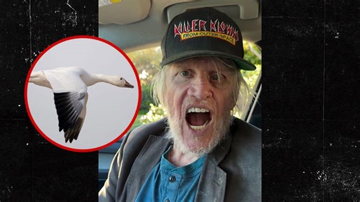 Gary Busey makes goose noises