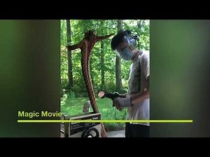 Manpa Woodcarving Tools Review