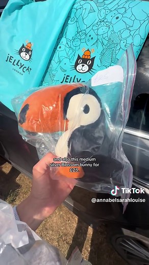 Jellycat finds: 17 Jellycats at Car Boot Sale — resale and rare pick-ups